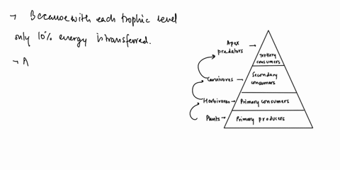 the-10-rule-of-energy-conversion-efficiency-a-explains-why-big-fierce-animals-are-so-rare-b-explains-69922