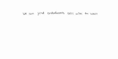 question-14-which-of-the-following-comparisons-of-xylem-and-phloem-is-false-xylem-is-dead-when-it-is-functional-but-phloem-cells-are-living_-primary-xylem-and-phloem-cells-originate-in-the-p-87775
