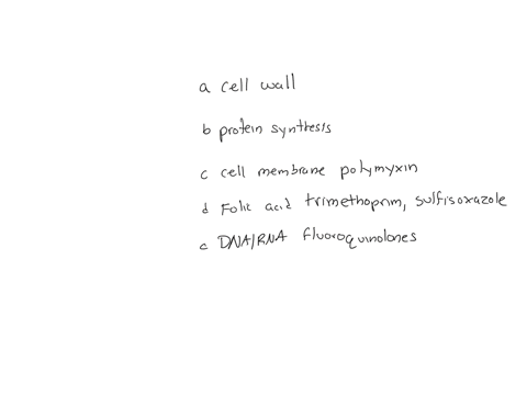 categorize-the-drugs-on-the-basis-of-their-mode-of-antimicrobial-action-bacitracin-tetracycline-azithromycin-aminoglycosides-trimethoprim-isoniazid-polymyxin-penicillin-vancomycin-erythromyc-79936