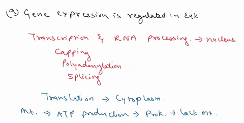 briefly-describe-one-regulatory-mechanism-that-can-only-operate-in-eukaryotes-and-describe-why-that-type-of-mechanism-cannot-operate-in-prokaryotes_-marks-sex-lethal-sxl-is-the-sex-determina-89316