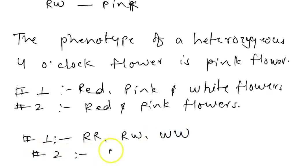 SOLVED Text "PLEASE LANG WAG KAYONG SUMAGOT NG NONSENSE!3. Problem 1