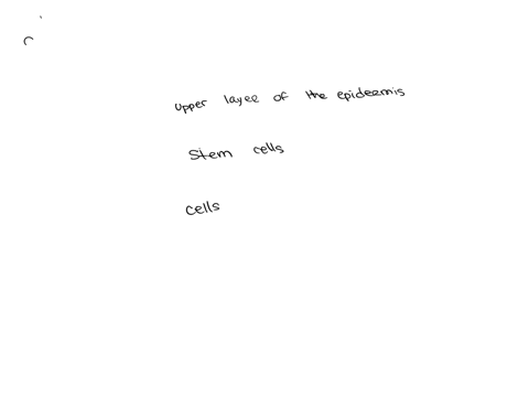 130-cell-which-divides-by-mitosis-is-1-upper-layer-of-epidermis-2-cells-lining-gut-3-stem-cells-4-all-of-these