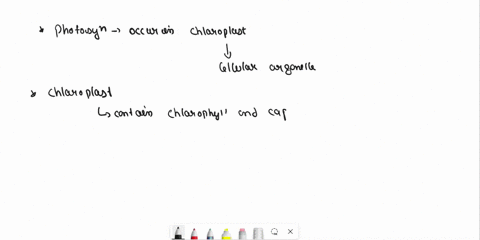 in-what-cellular-organelle-does-photosynthesis-occur-a-stroma-b-guard-cells-c-chloroplasts-d-palisade-mesophyll-38775