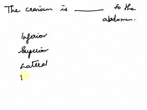 question-4-the-cranium-is-to-the-abdomen-inferior-superior-lateral-ventral-60262