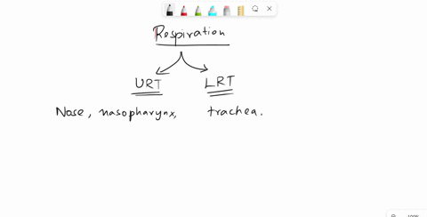 which-one-of-the-following-is-the-beginning-of-the-lower-respiratory-tracta-trachea-b-nasal-cavityc-pharynx-d-larynx-18436