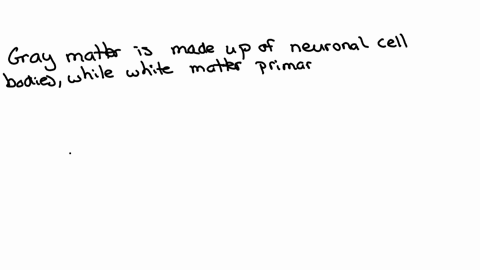 what-constitute-the-gray-and-white-matter-of-the-brain-and-spinal-cord
