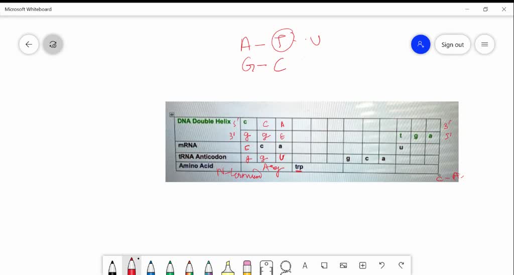 Prolein SOLVED: (16 pts.) Consider the polarity of DNA, RNA, and proleins ...