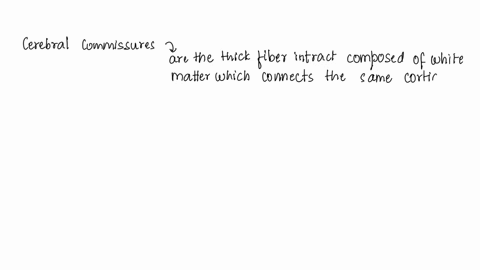 commissures-including-the-corpus-callosum-are-group-of-answer-choices-pockets-of-oxygen-found-throughout-the-brain-brain-areas-associated-with-various-types-of-sensory-information-blood-vess-74002