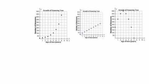 if-a-flowering-tree-is-cared-for-properly-the-number-of-blossoms-produced-on-the-tree-will-exponentially-increase-until-the-tree-reaches-maturity-which-graph-could-show-y-the-number-of-bloss-96278