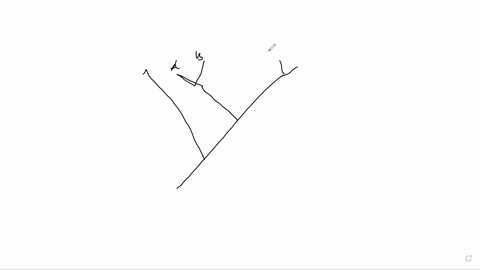 using-the-information-in-table-5-6-on-page-5-19-of-your-lab-manual-fill-in-the-following-table-with-the-appropriate-coded-character-states-taxa-type-of-leaves-1-reproductive-body-2-type-of-s-52237