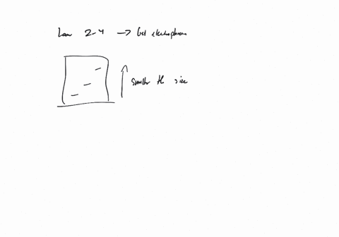 what-is-the-correct-order-of-the-dna-bands-in-terms-of-molecular-size-from-lanes-2-4-on-the-figure