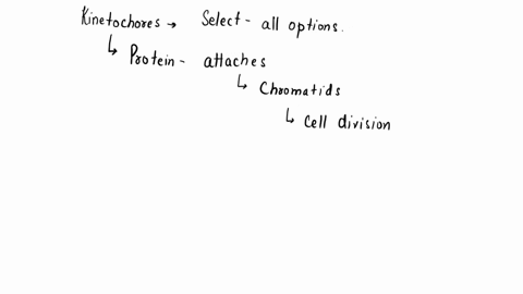 kinetochores-select-all-that-apply-they-hold-sister-chromatids-together-after-chromosome-replication-they-prevent-sister-chromatid-separation-until-anaphase-of-mitosis-or-anaphase-il-or-meio-03947