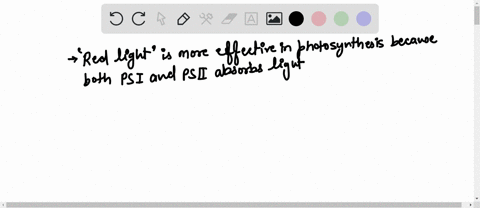 based-on-your-knowledge-of-energy-flow-and-light-absorption-which-colors-of-light-will-provide-energy-for-photosynthesis-select-all-that-apply-red-orange-green-blue-violet-54725