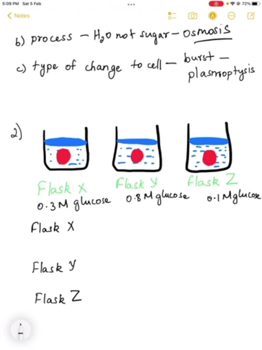 SOLVED Use the diagram of a cell submerged in a solution shown below