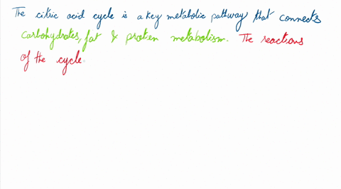 describe-two-important-roles-of-the-citric-acid-cycle-93412