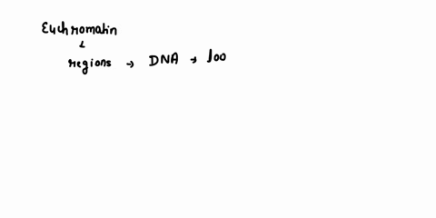 question-20-the-term-euchromatin-describes-regions-where-dna-is-loosely-bound-to-nucleosomes-areas-where-the-nucleosomes-are-more-tightly-compacted-and-where-dna-is-inactive-bundles-of-prote-17252