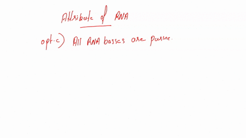 which-of-the-following-is-not-an-attribute-of-rna-a-in-rna-the-sugar-is-ribose-b-rna-bases-include-au-cand-g_-c-all-rna-bases-are-purines-d-rna-can-base-pair-with-dna-07561