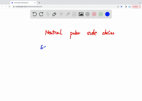 which-amino-acids-have-electrically-neutral-polar-side-chains-21139