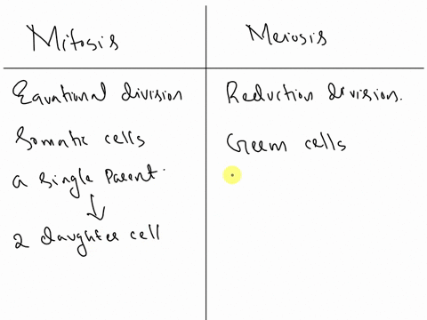 what-is-the-difference-between-mitosis-and-meiosis-explain-in-detail-29232