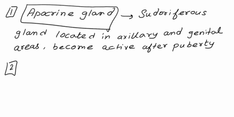 94-c-accessory-structures-of-the-skin-write-the-name-of-the-accessory-structure-that-best-fits-the-description-1-sudoriferous-glands-located-in-axillary-and-genital-areas-become-active-after-00047