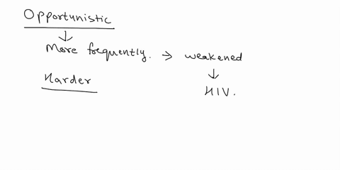 16-true-or-false-blu31i-olni-10-juzei-opportunistic-infections-are-most-likely-to-affect-aids-patients-e1-noubluqoq-dm-to-boroq-j-17-true-or-false-in-the-a-b-toxin-the-b-subunit-is-the-actua-84788
