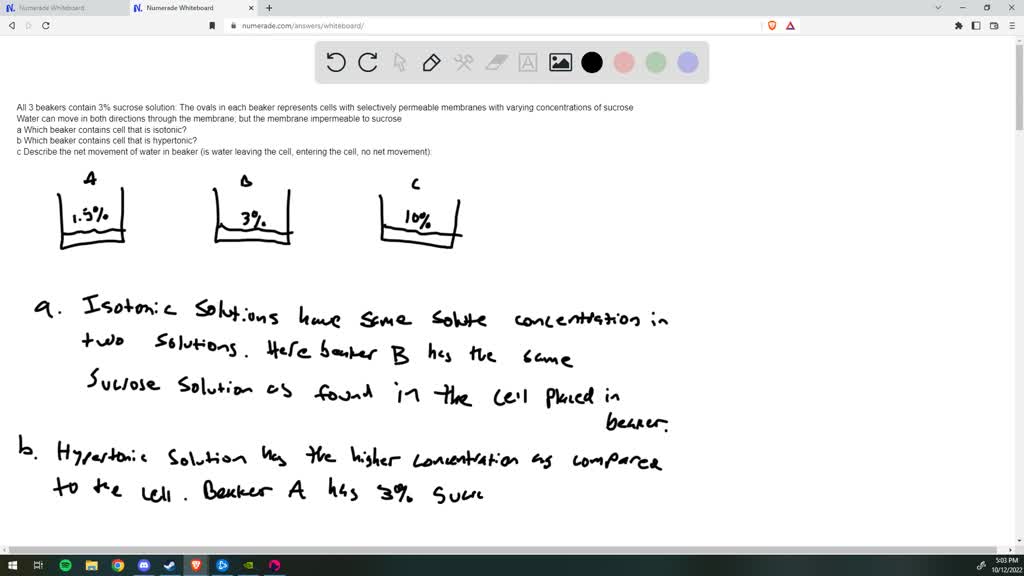 SOLVED All 3 beakers contain 3 sucrose solution The ovals in each beaker represents cells