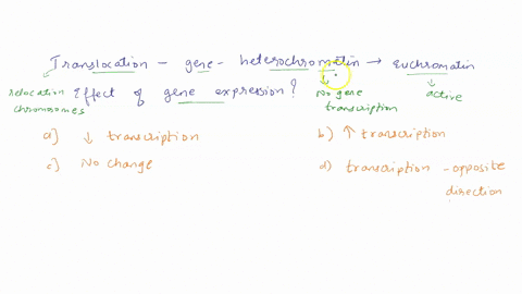 question-22-1-point-suppose-translocation-results-in-a-gene-that-was-in-an-area-of-heterochromatin-being-moved-into-an-area-of-euchromatin-what-is-the-likely-effect-on-gene-expression-a-tran-54362