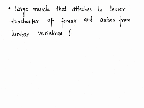 a-muscle-that-originates-on-the-lumbar-vertebrae-and-inserts-onto-the-lesser-trochanter-and-that-flexes-both-the-thigh-and-the-vertebral-column-is-the-question-33-options-a-transverse-abdomi-65225