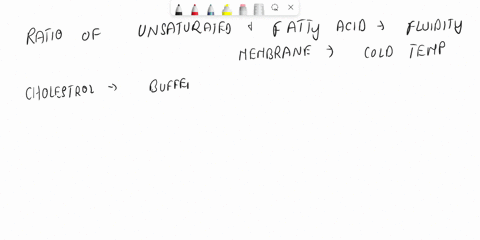 what-determines-the-membrane-fluidity-of-the-plasma-membrane-how-could-fluidity-be-modulated-or-inhibited-50077