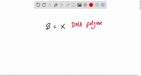 consider-the-following-diagram-which-highlights-several-features-of-dna-replication-which-letter-is-correctly-matched-to-its-structure-b-topoisomerase-e-telomnere-f-okazaki-fragment-dna-poly-78885