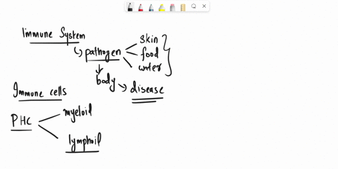 which-statement-concerning-leukocytes-is-not-correct-a-monocytes-are-transformed-into-macrophages-b-15628