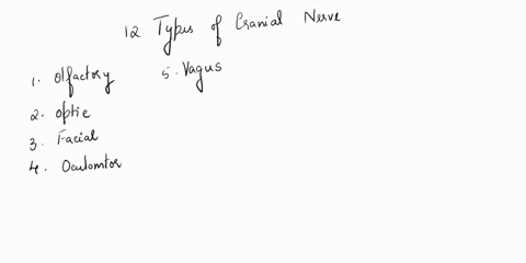 which-of-the-following-is-the-longest-cranial-nerve-v17-which-of-the-following-is-the-longest-cranial-nerve-trochlear-nerve-accessory-nerve-vagus-nerve-vestibulochlear-nerve-69334