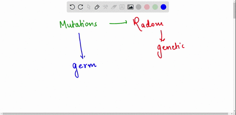 describe-how-mutations-lead-to-genetic-variations-85098