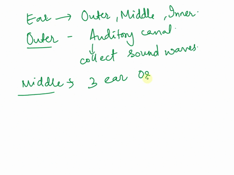 identify-the-structures-and-describe-the-anatomy-of-the-ear-61614