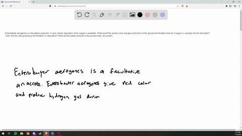 enterobacter-aerogenes-is-a-facultative-anaerobe-it-is-available-what-would-the-uses-cellular-respiration-when-oxygen-fermentation-results-color-and-gas-production-of-the-glucose-test-be-if-49394