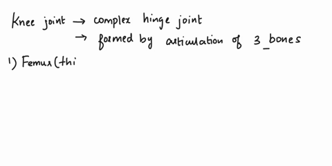 do-the-femoral-condyles-articulate-with-the-fibular-condyles-during-flexion-of-the-knee-09586