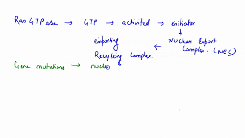 what-is-the-importance-of-the-ran-gtp-in-nuclear-export-and-import-what-would-happen-if-there-was-a-lost-function-or-mutation-in-gap-what-would-happen-if-ran-gap-was-localized-into-the-cell-50143