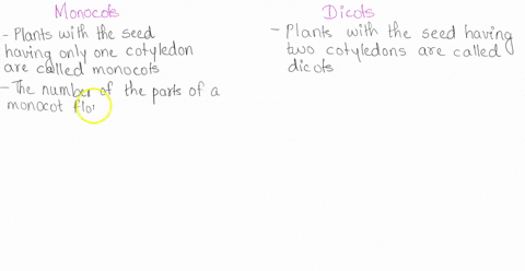 monocot-v9-dicot-in-table-below-fiil-in-the-characteristics-for-monocot-plants-versus-dicot-plants-provide-one-example-of-each-type-of-plant-monocot-dlcot-characteristics_-ccharacterislics-e-01668