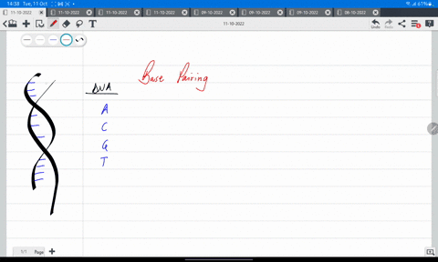 sample-question-the-start-of-the-coding-region-for-the-human-b-globulin-gene-reads-5-atggtgcac-3-_-what-is-the-sequence-of-the-complementary-strand-for-this-segment-of-dna-4984