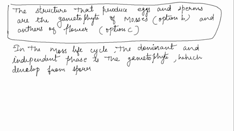 which-of-the-following-structures-produce-eggs-and-sperm-explain-your-answer-a-fern-sporophytes-b-2-45022
