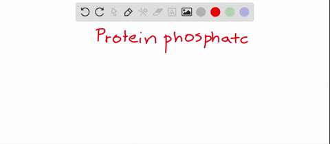 glycogen-breakdown-and-synthesis-must-be-tightly-coordinated-to-avoid-futile-cycling-ie-simultaneously-breaking-down-and-synthesizing-glycogen-name-the-enzyme-involved-in-the-reciprocal-control-mech-2