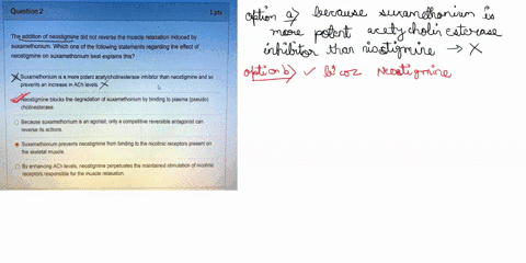 question-2-1pts-the-addition-of-neostigmine-did-not-reverse-the-muscle-relaxation-induced-by-suxamethonium-which-one-of-the-following-statements-regarding-the-effect-neostigmine-on-suxametho-69813
