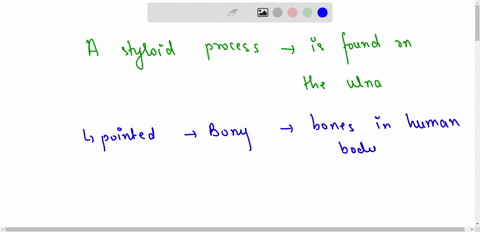 a-styloid-process-is-found-on-the-__________-humerus-ulna-fibula-femur-scapula-48898