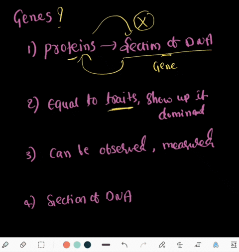 which-is-true-of-genes-plz-help-asap-a-they-are-proteins-that-produce-sections-of-dna-which-control-the-cells-activities-b-they-are-sections-of-dna-that-produce-the-proteins-that-control-an-12864
