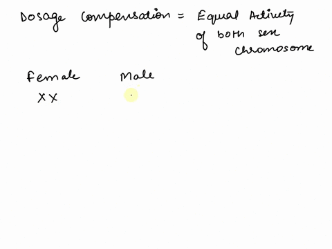 dosage-compensation-in-mammals-normally-takes-place-in-males-but-not-females-causes-the-y-chromosome-to-become-genetically-active-takes-place-in-humans-50-that-the-same-x-chromosome-is-inact-62306