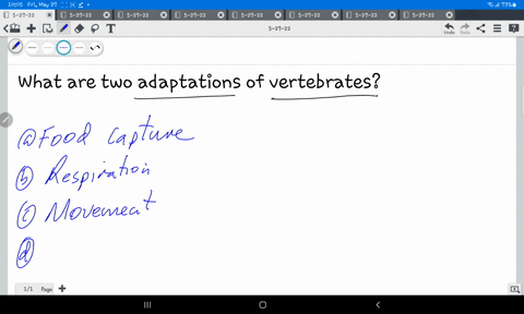 what-are-two-adaptations-of-vertebrates-84886