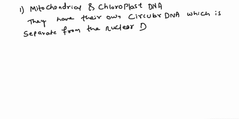 describe-three-pieces-of-evidence-for-the-endosymbiotic-theory-26784