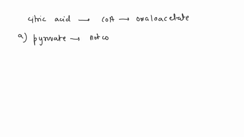 in-the-first-step-of-the-citric-acid-cycle-acetyl-coa-reacts-with-oxaloacetate-to-form-a-pyruvate-3-33945