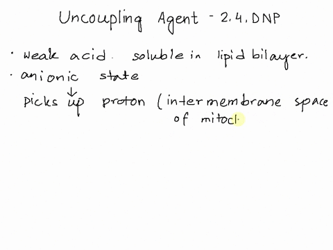 dinitrophenol-dnp-is-a-specific-class-of-drug-called-an-uncoupler-as-an-uncoupler-dnp-dissipates-the-proton-gradient-established-as-part-of-the-electron-transport-chain-but-does-not-alter-th-67002