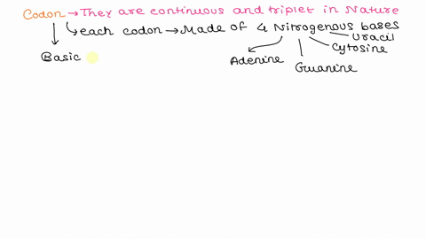 which-of-the-following-is-not-true-of-a-codon-a-it-may-code-for-the-same-amino-acid-as-another-codon-19146